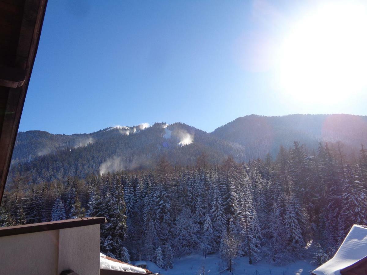 Apartmán Yastrebetz View Borovec Exteriér fotografie